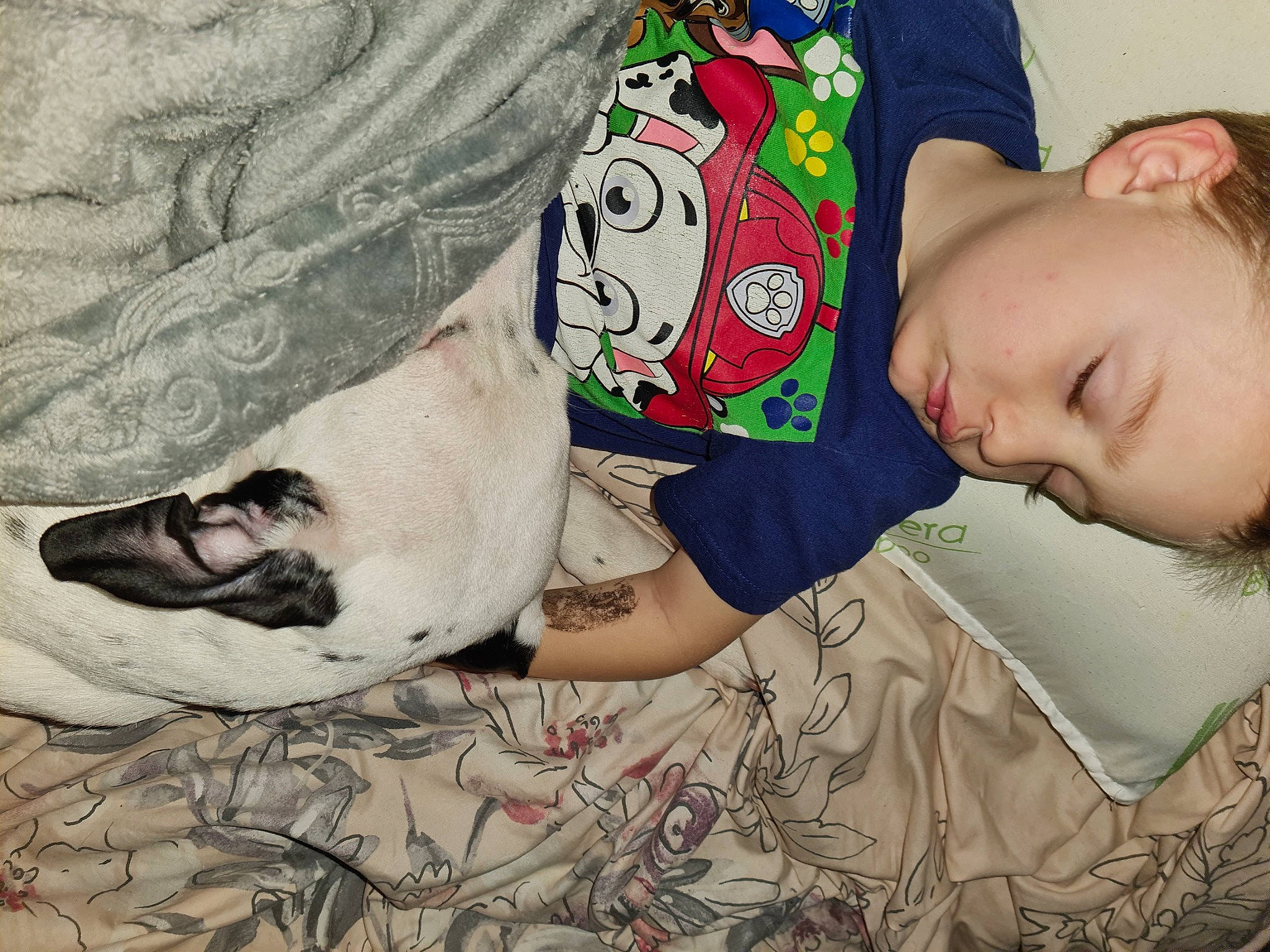 Atreyu is registered to the contest to win money with this photo: baby_toddler_clothing, cheek, eyelash, facial_hair, flesh, forehead, human, jaw, lip, moustache, organ, painting, person, sleep, temple, throat, visual_arts