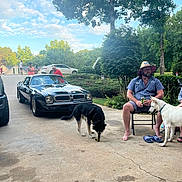 Demetri joined the competition — help win amazing prizes! man, dog, black_dog, white_dog, car, classic_car, chair, outdoor, driveway, trees, grass, sky, clouds, person, footwear, hat, beard, can, conversation, nature