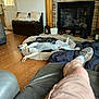 dog, pet_bed, floor, person, legs, shorts, sneakers, leather_chair, fireplace, wood_floor, cushions, blanket, door, window, indoor, decor, lantern, stone, wood, relaxing