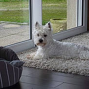 ELLA a rejoint le concours — aidez-le/la à gagner de superbes lots !