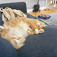Boo joined the competition — help win amazing prizes! cat, orange_cat, white_fur, sleeping, couch, blanket, indoor, living_room, wooden_floor, striped_rug, relaxation, pet, fur, cozy, home, furniture, paws, resting, domestic_animal, cute