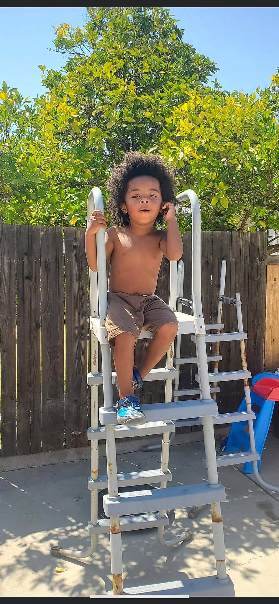 Prince is registered to the contest to win money with this photo: calf, chair, child, electric_blue, fence, fun, human_leg, knee, ladder, leisure, outdoor_furniture, person, public_space, shorts, sitting, standing, thigh, toddler, tree, wood