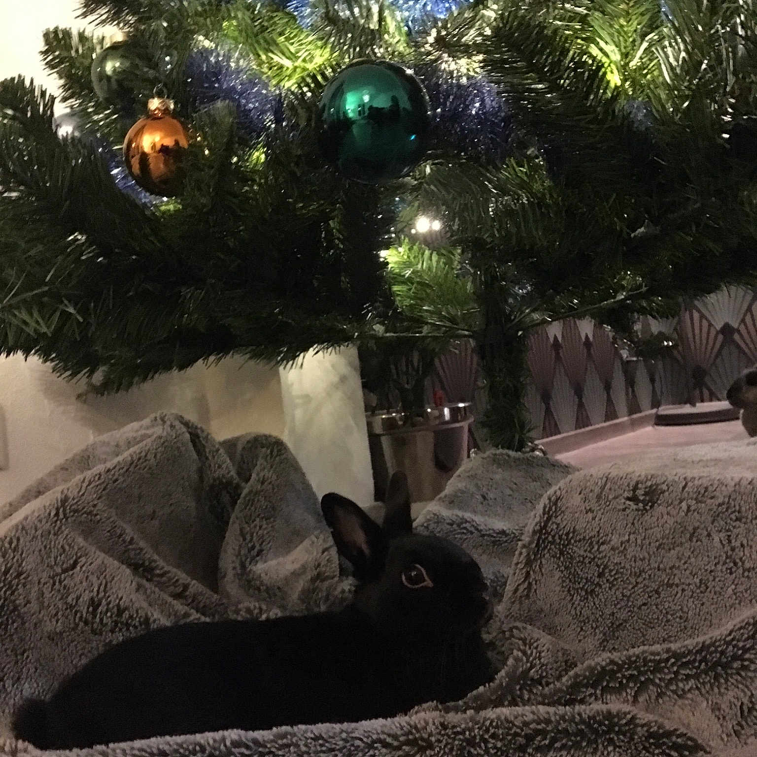 Totoro