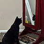 black_cat, cat, mirror, reflection, carpet, jewelry, box, spray_bottle, wooden_furniture, indoor, pet, animal, curious, sitting, side_view, floor, household, still_life, domestic, feline