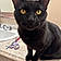 Jynx