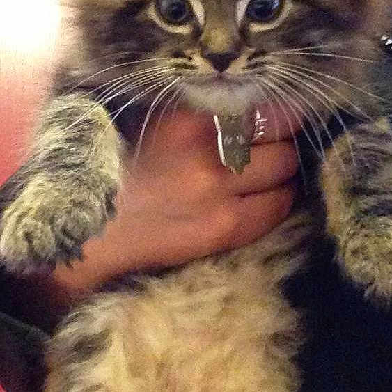 Millie joined the competition — help win amazing prizes!