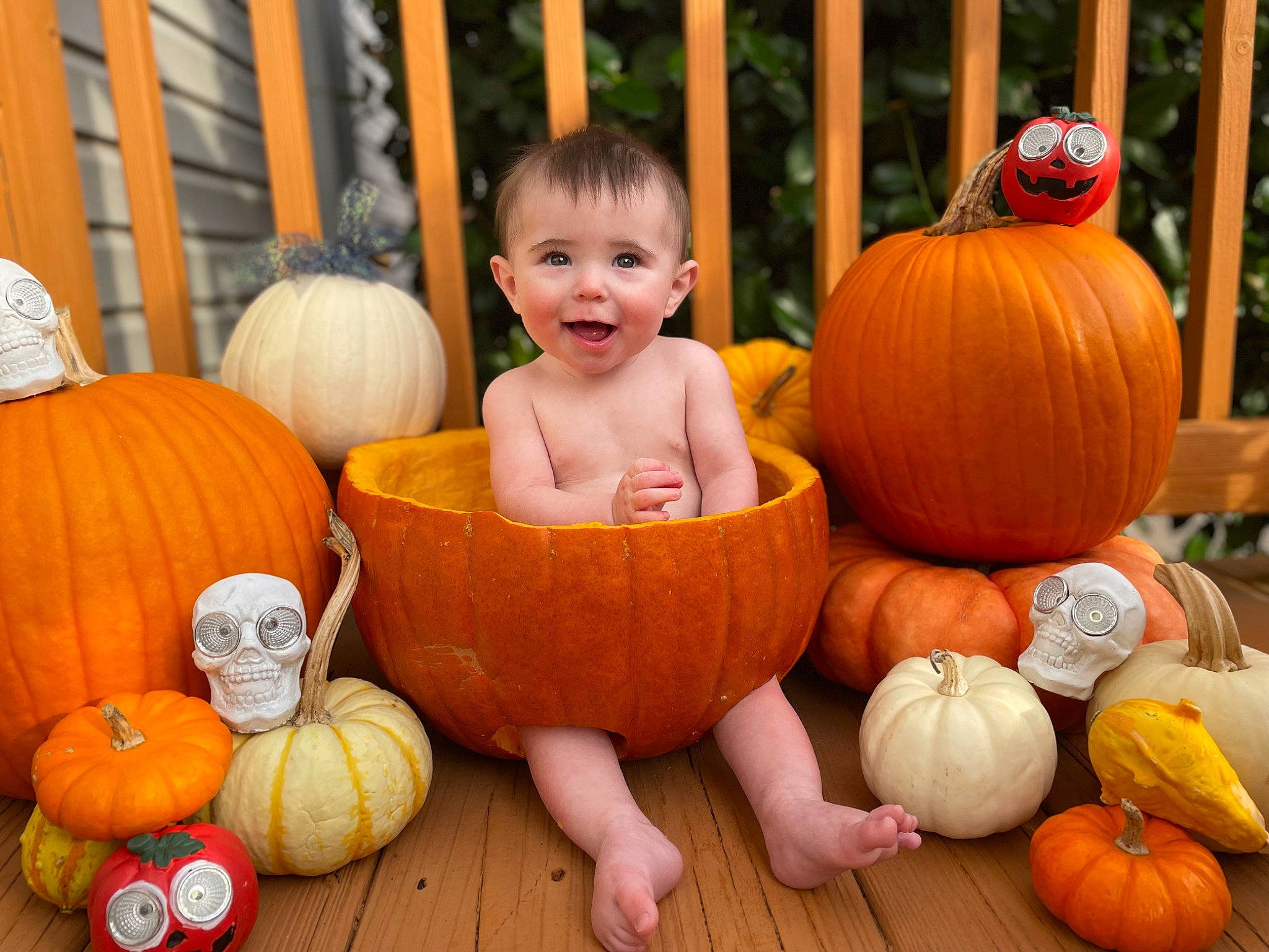 Layne is registered to the contest to win money with this photo: calabaza, cucurbita, eye, facial_expression, fruit, gourd, happy, head, joy, leaf, natural_foods, orange, person, photograph, plant, pumpkin, smile, squash, vegetable, whole_food