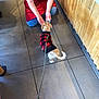 dog, leash, sweater, person, kneeling, floor, tile, water, cup, apron, indoor, wood_paneling, casual_clothing, small_dog, red_black, puppy, pet, animal, feeding, tail