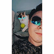 Lucifer a rejoint le concours — aidez-le/la à gagner de superbes lots ! man, cat, sunglasses, bed, tennis_ball, face, pet, indoor, relaxing, animal, person, closeup, portrait, feline, eyewear, casual, cute, digital_art, fun, cozy
