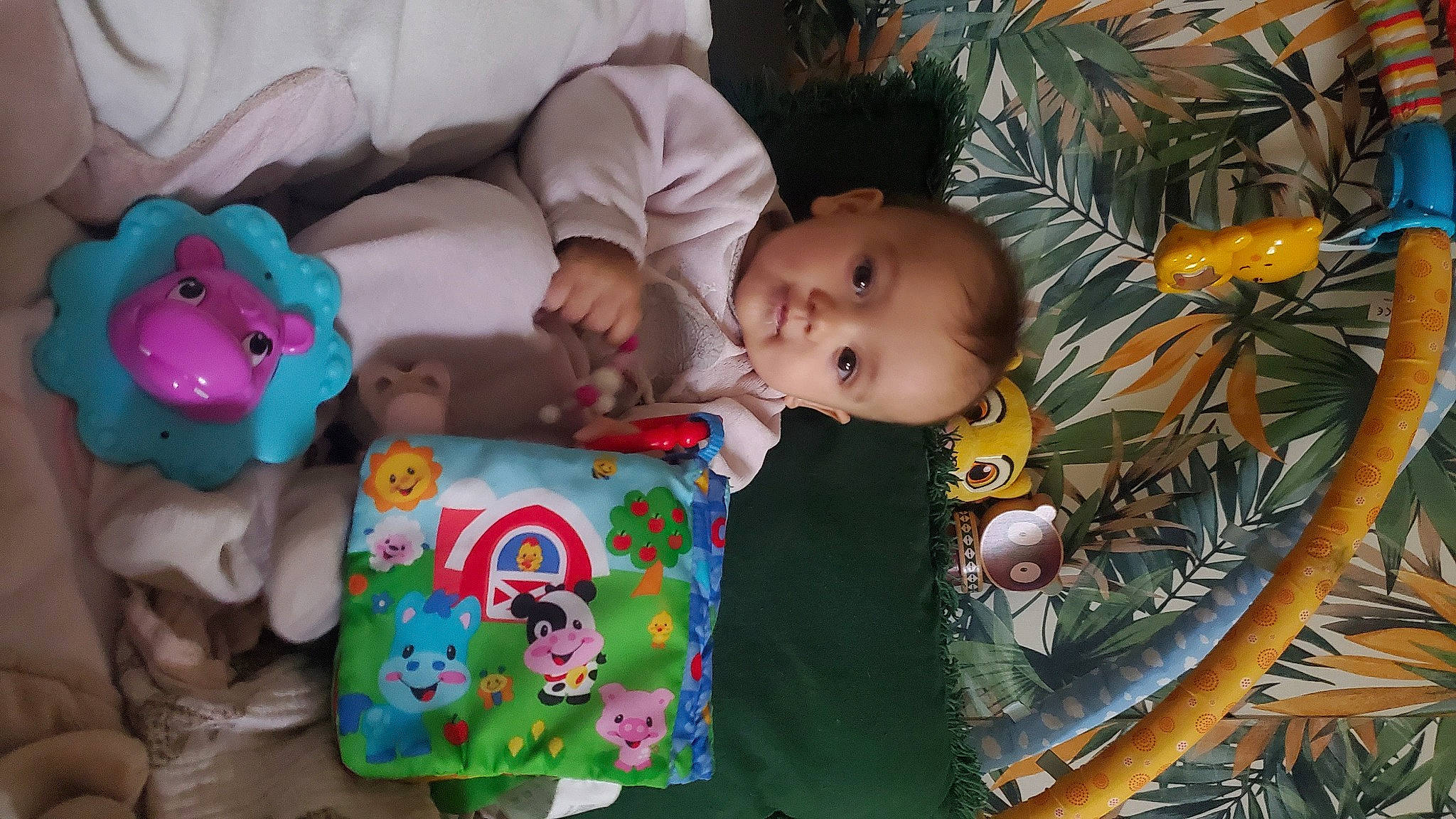 Liya a rejoint le concours — aidez-le/la à gagner de superbes lots ! baby, cheek, eye, facial_expression, fun, happy, head, human_body, iris, mammal, nose, organ, person, plant, product, skin, textile, toddler, toy, tree