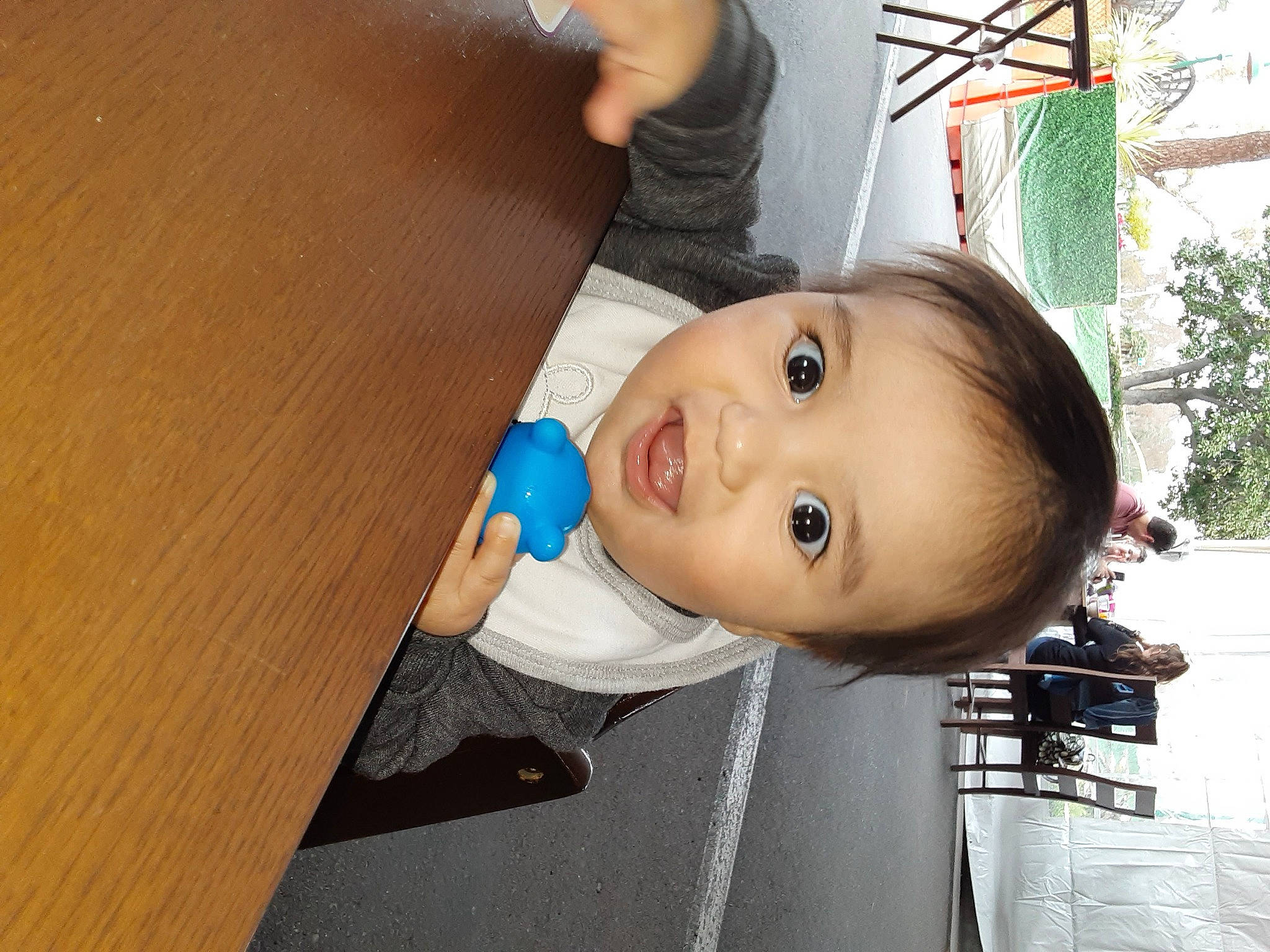 Alexzander joined the competition — help win amazing prizes! baby, baby_products, cheek, child, chin, eyelash, flooring, fun, hardwood, house, leisure, lip, nose, person, thumb, toddler, toy, tree, varnish, wood