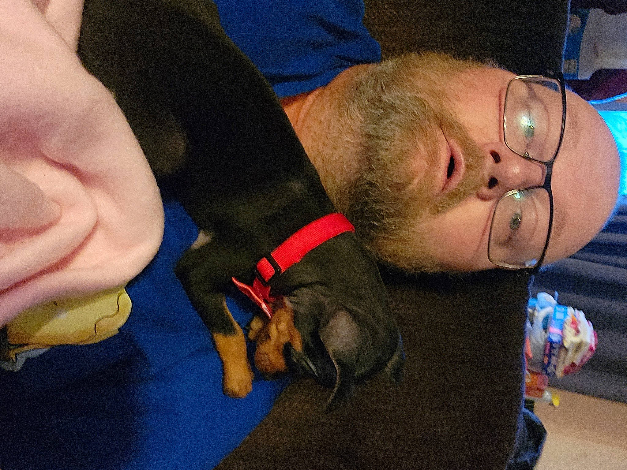 Lily joined the competition — help win amazing prizes! buzz_cut, carnivore, child, collar, dog, dog_breed, ear, elbow, electric_blue, eyewear, fashion_accessory, finger, fun, gesture, jaw, neck, personal_protective_equipment, strap, wrinkle, wrist