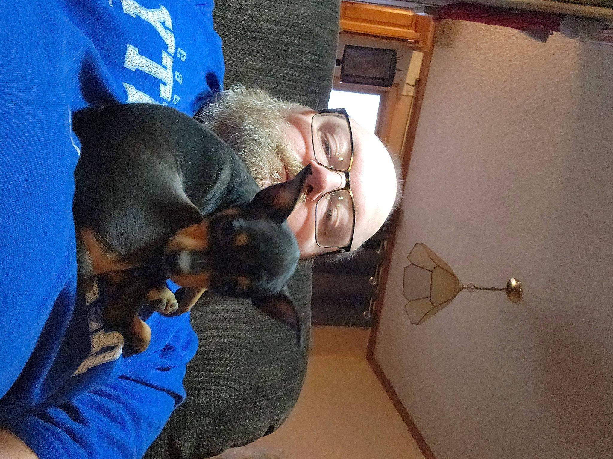 Lily joined the competition — help win amazing prizes! canidae, carnivore, comfort, companion_dog, dog, dog_breed, door, ear, elbow, eyewear, felidae, fur, gesture, sitting, small_to_medium_sized_cats, snout, sporting_group, wood, working_animal, wrist