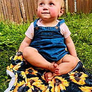 Star joined the competition — help win amazing prizes! toddler, child, baby, blanket, sunflower, grass, outdoor, fence, denim_overall, pink_shirt, barefoot, smiling, happy, sitting, nature, daylight, portrait, cute, young_child, social_media