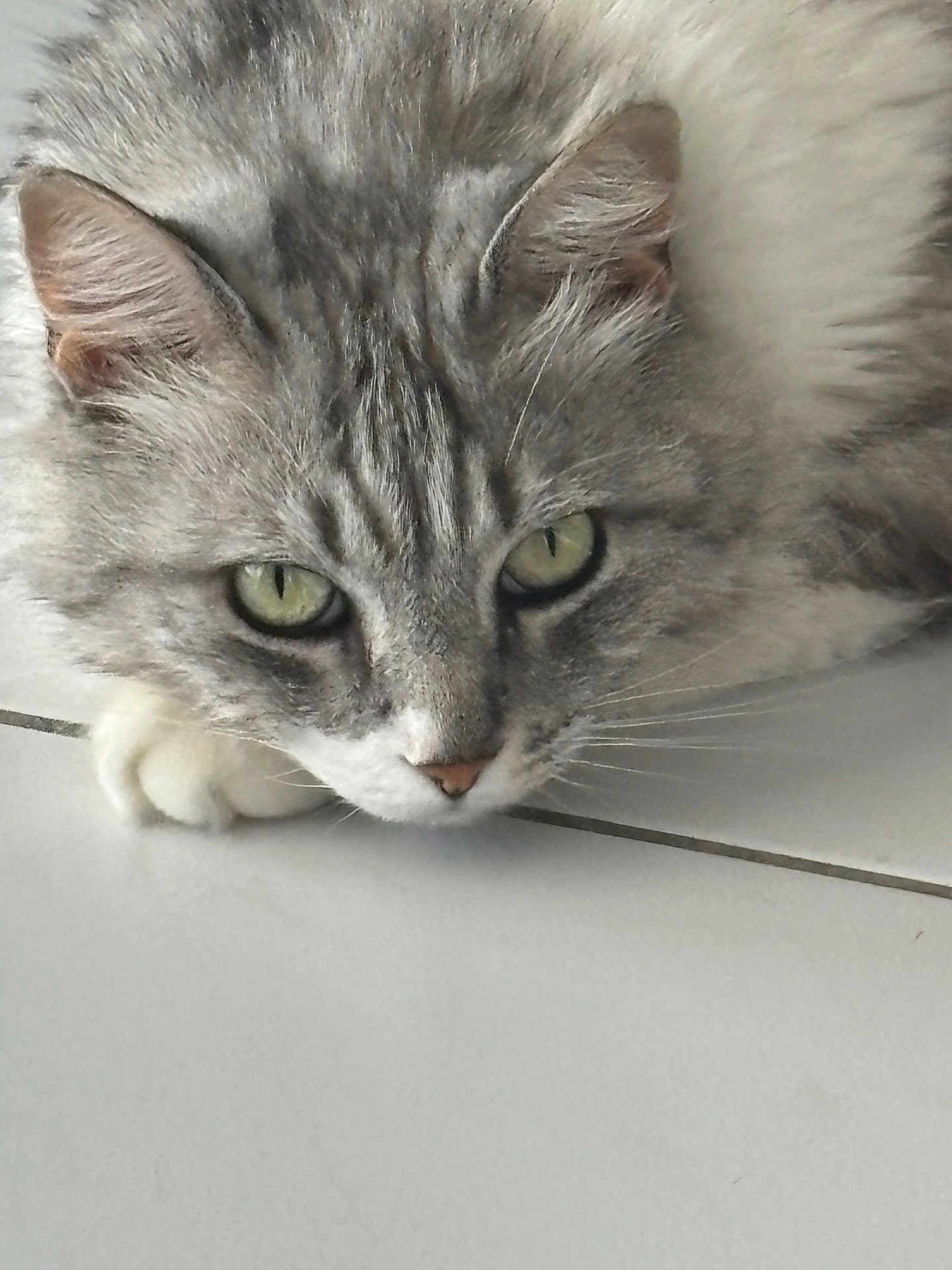 Nina