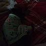 animal, bed, blanket, bone_prints, clothing, cozy, cute, dark, dog, fur, green_outfit, indoor, low_light, lying_down, paw_prints, pet, red_plaid, resting, sleeping, small_dog