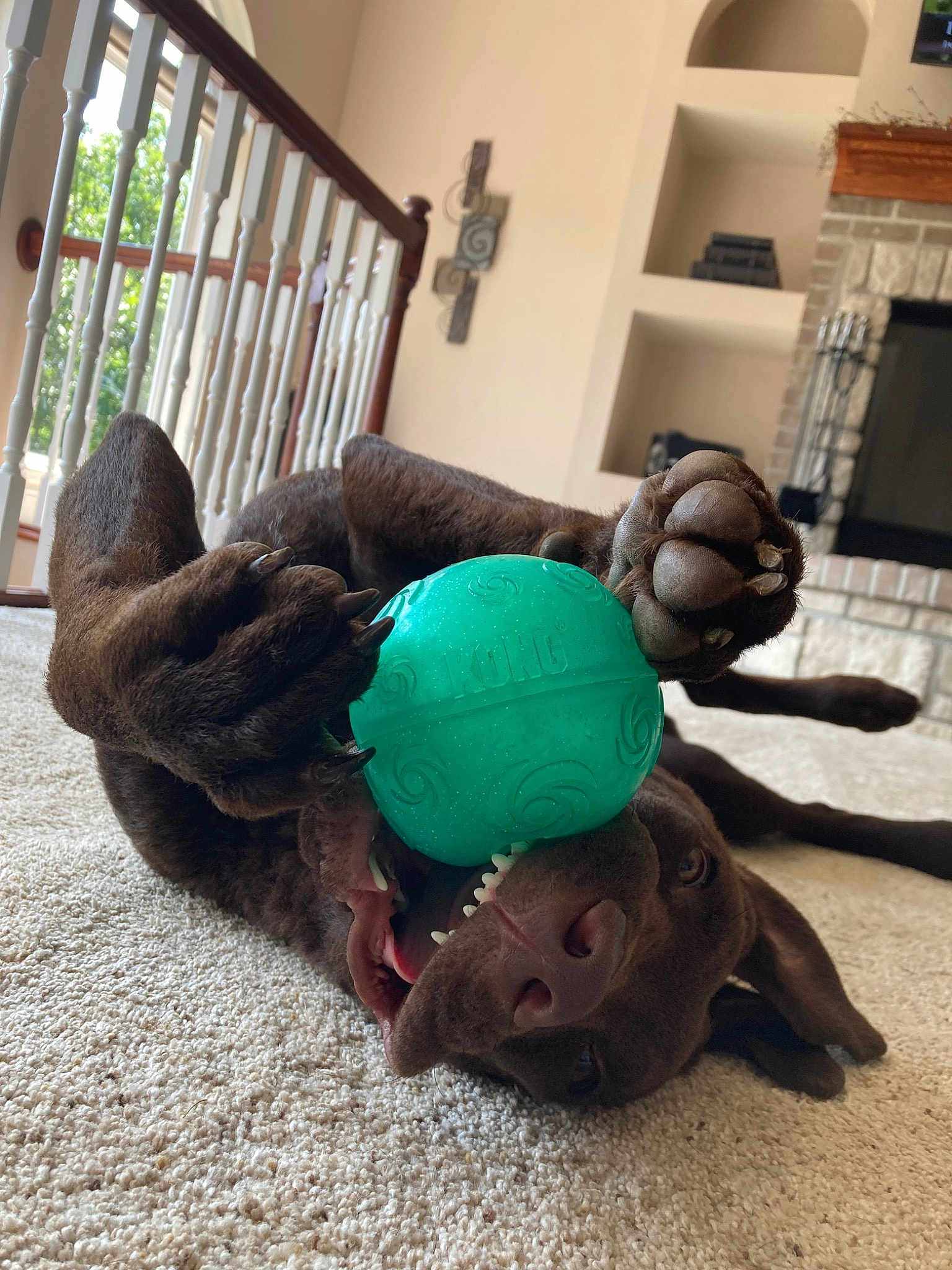 Tokota