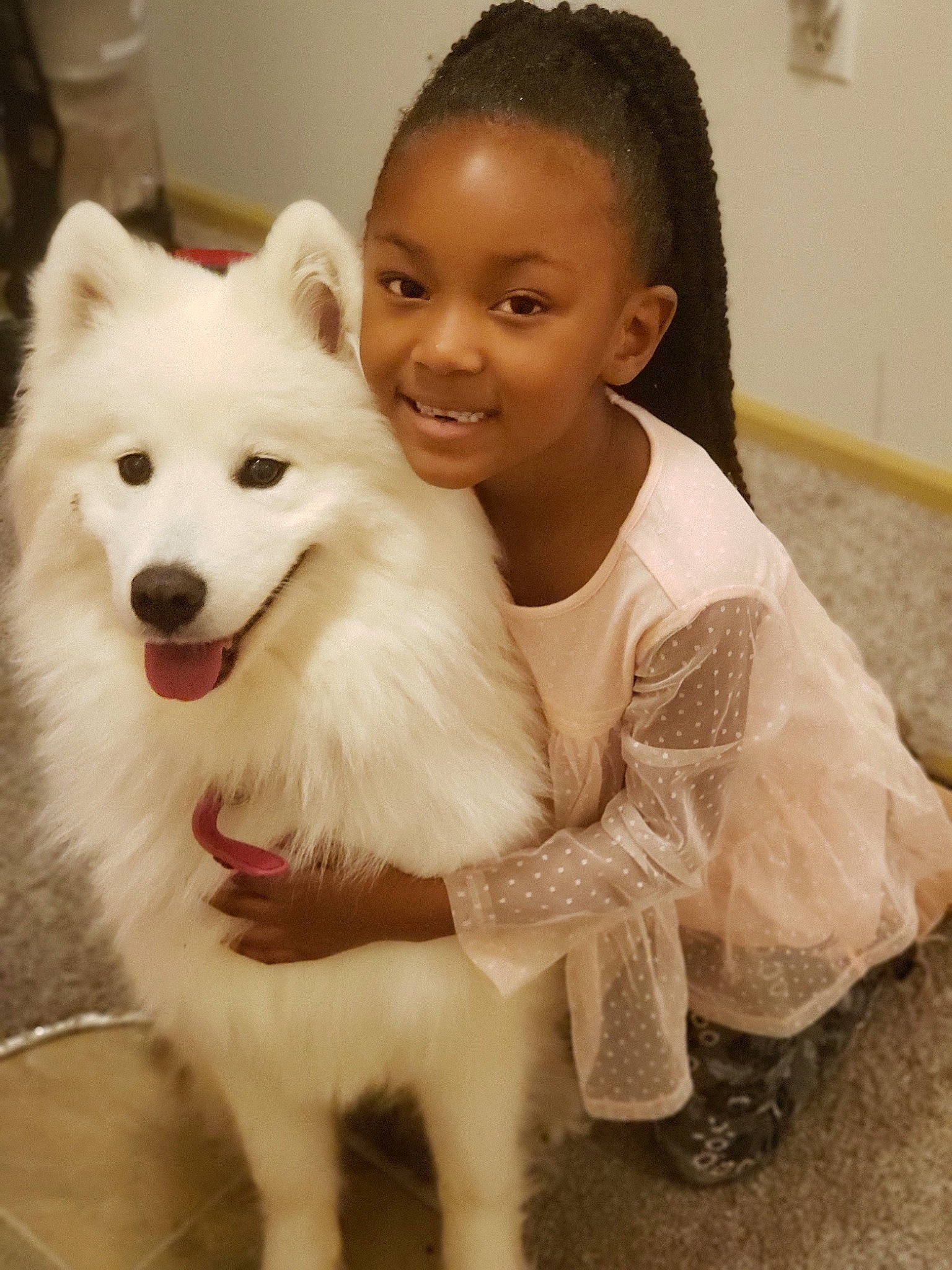 Sa'Niyah joined the competition — help win amazing prizes! american_eskimo_dog, berger_blanc_suisse, canadian_eskimo_dog, canidae, carnivore, companion_dog, dog, dog_breed, german_spitz, german_spitz_mittel, indian_spitz, japanese_spitz, joy, mammal, non_sporting_group, person, rare_breed_dog, samoyed, skin, spitz
