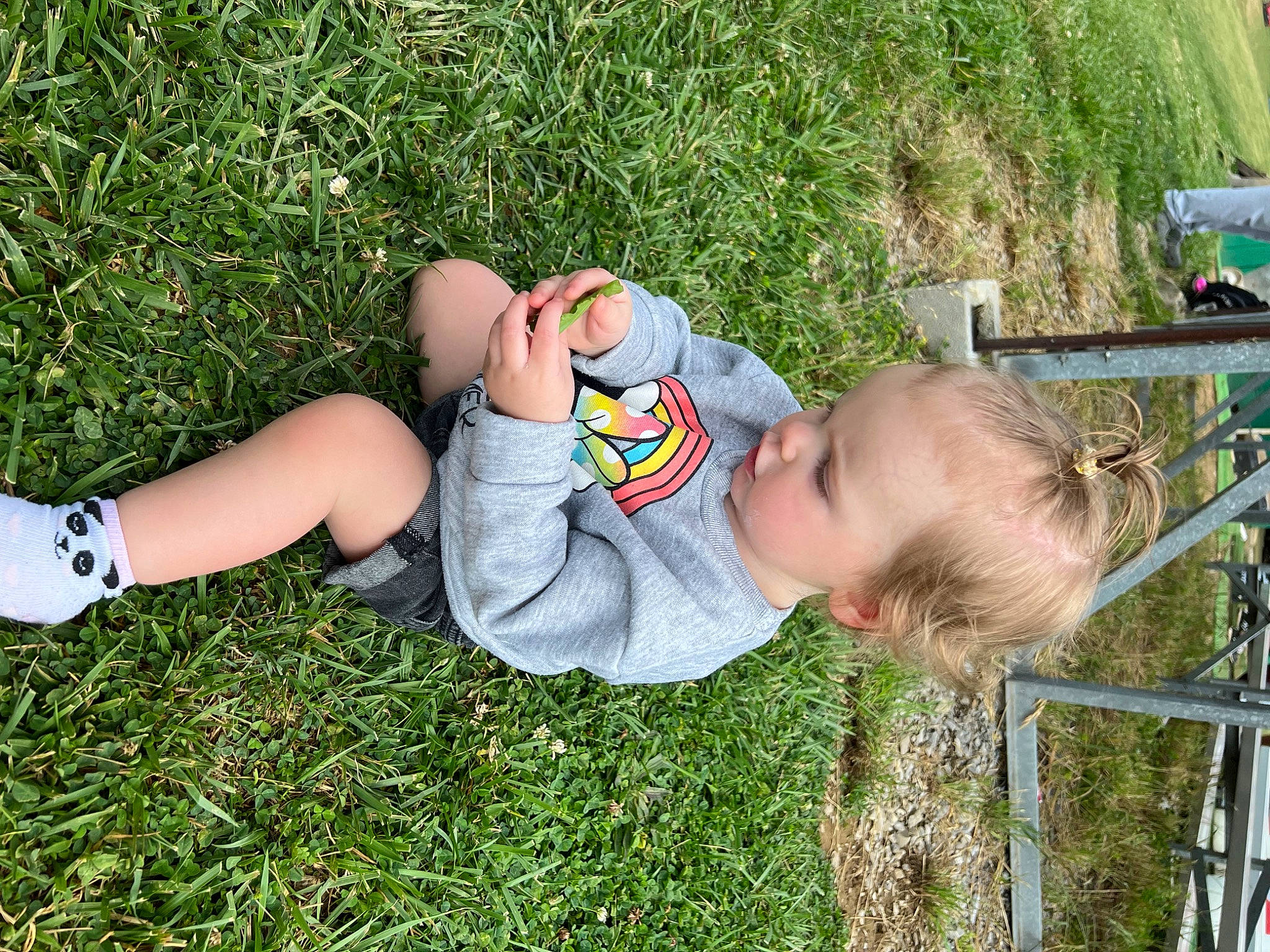 Ember is registered to the contest to win money with this photo: baby, baby_toddler_clothing, child, fun, grass, grass_family, happy, head, human_body, human_leg, joint, knee, lawn, leisure, people_in_nature, person, plant, recreation, summer, thigh