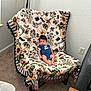 Khalil joined the competition — help win amazing prizes! baby, child, onesie, blue_clothing, blanket, chair, floral_pattern, butterflies, sunflowers, indoor, carpet, wall, electrical_outlet, curious_expression, person, furniture, seated, text_on_clothing, infant, cozy