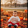 baby, child, thanksgiving, fall, autumn, pumpkin, hay_bale, leaves, sweater, outdoor, seasonal, festive, lights, orange, red, nature, cute, portrait, celebration, holiday