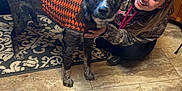 Buster joined the competition — help win amazing prizes! dog, person, sweater, indoor, kitchen, floor, tile, rug, wood_cabinet, smiling, petting, animal, canine, happy, clothing, casual, home, companion, friendship, brown