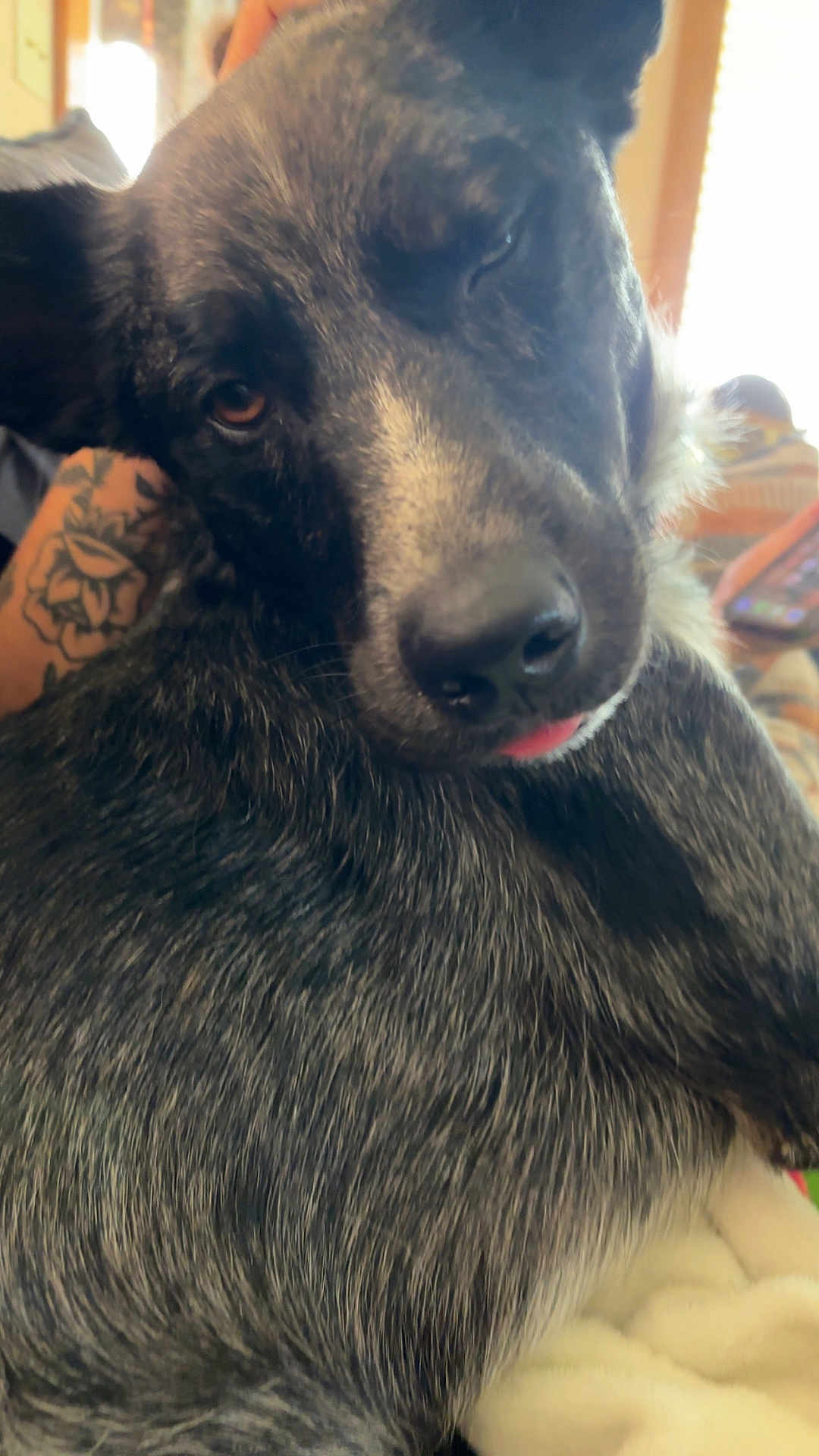 Buster