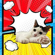Vanille participe au concours pour gagner de l'argent avec cette photo : animal, black_markings, blue, cat, close_up, clouds, colorful_background, comic_style, cute, feline, fun, paw, pet, playful, pop_art, portrait, red, stretching, white_cat, yellow