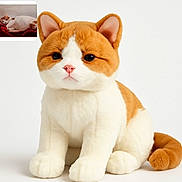 Caramel a rejoint le concours — aidez-le/la à gagner de superbes lots ! animal, blanket, cat, cute, domestic_cat, ears, fur, inset_photo, orange_and_white, pet, plush_toy, portrait, real_cat, red, resting, sitting, soft, tail, toy, whiskers