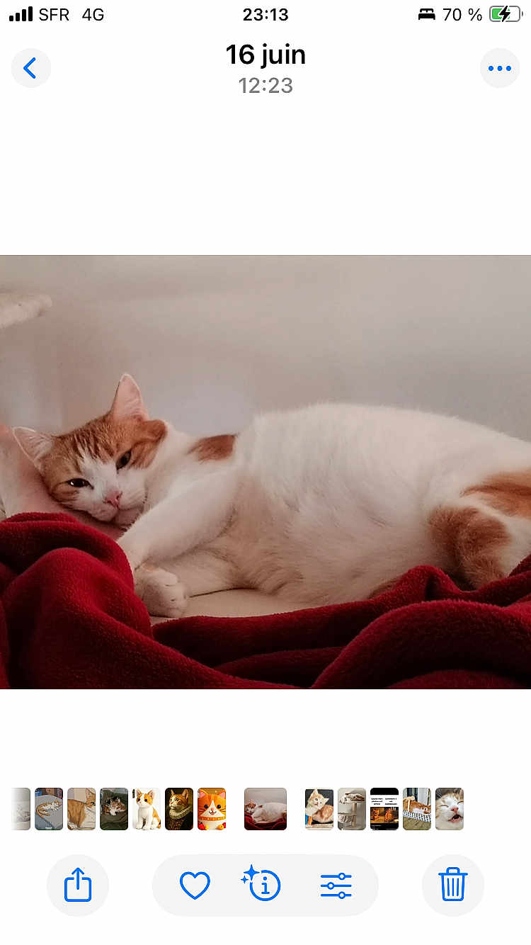 Caramel