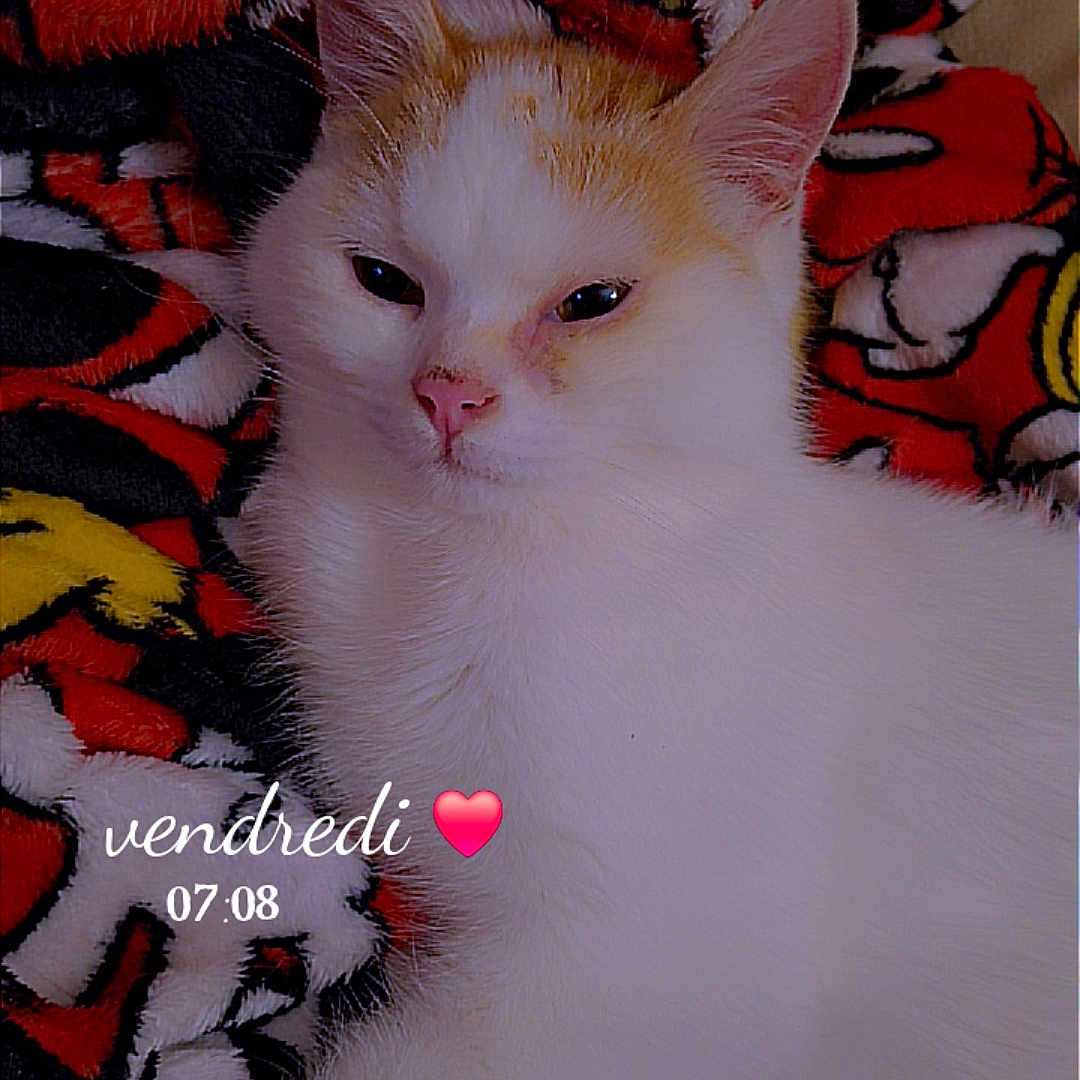 Yuji