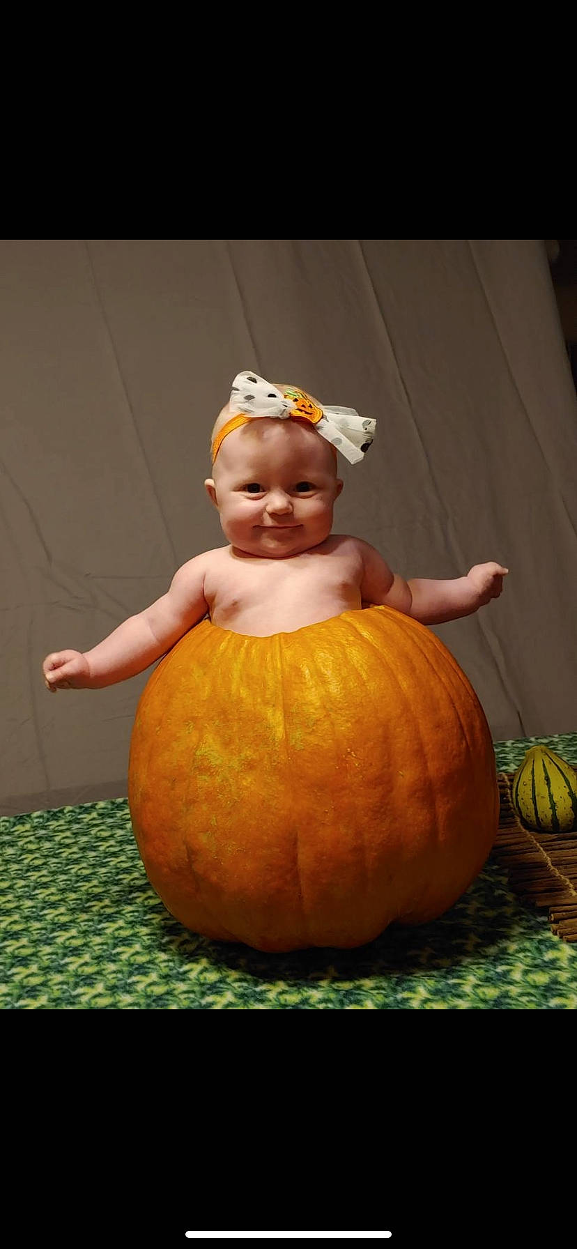 Bryleigh is registered to the contest to win money with this photo: _and_melon_family, _gourd, calabaza, carving, child, cucumber, cucurbita, food, fruit, gourd, jack_o_lantern, orange, person, plant, pumpkin, smile, squash, toddler, vegetable, winter_squash