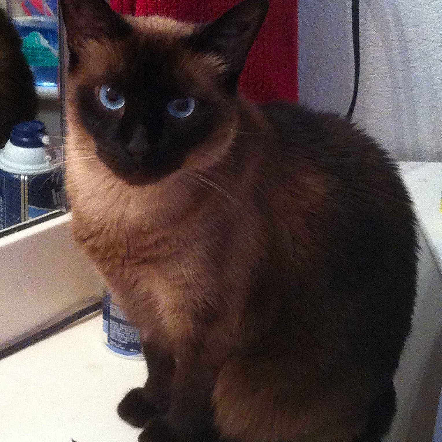 Lady is registered to the contest to win money with this photo: