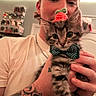bow_tie, cat, cute, fluffy, fur, green_eyes, hand, hat, held, indoor, kitten, person, portrait, selfie, shelf, strawberry, tattoo, warm_lighting, whiskers, white_shirt