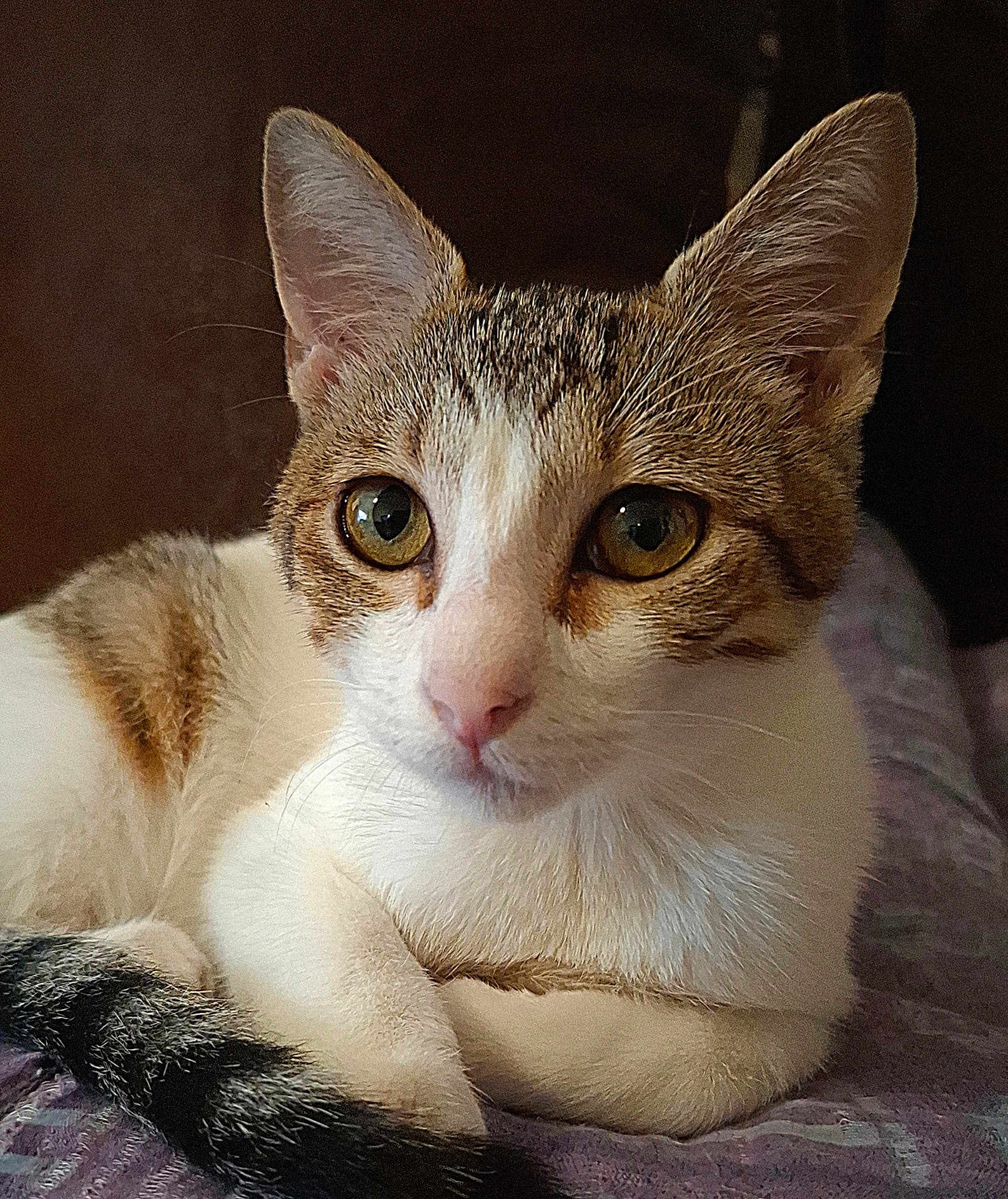 Gina.