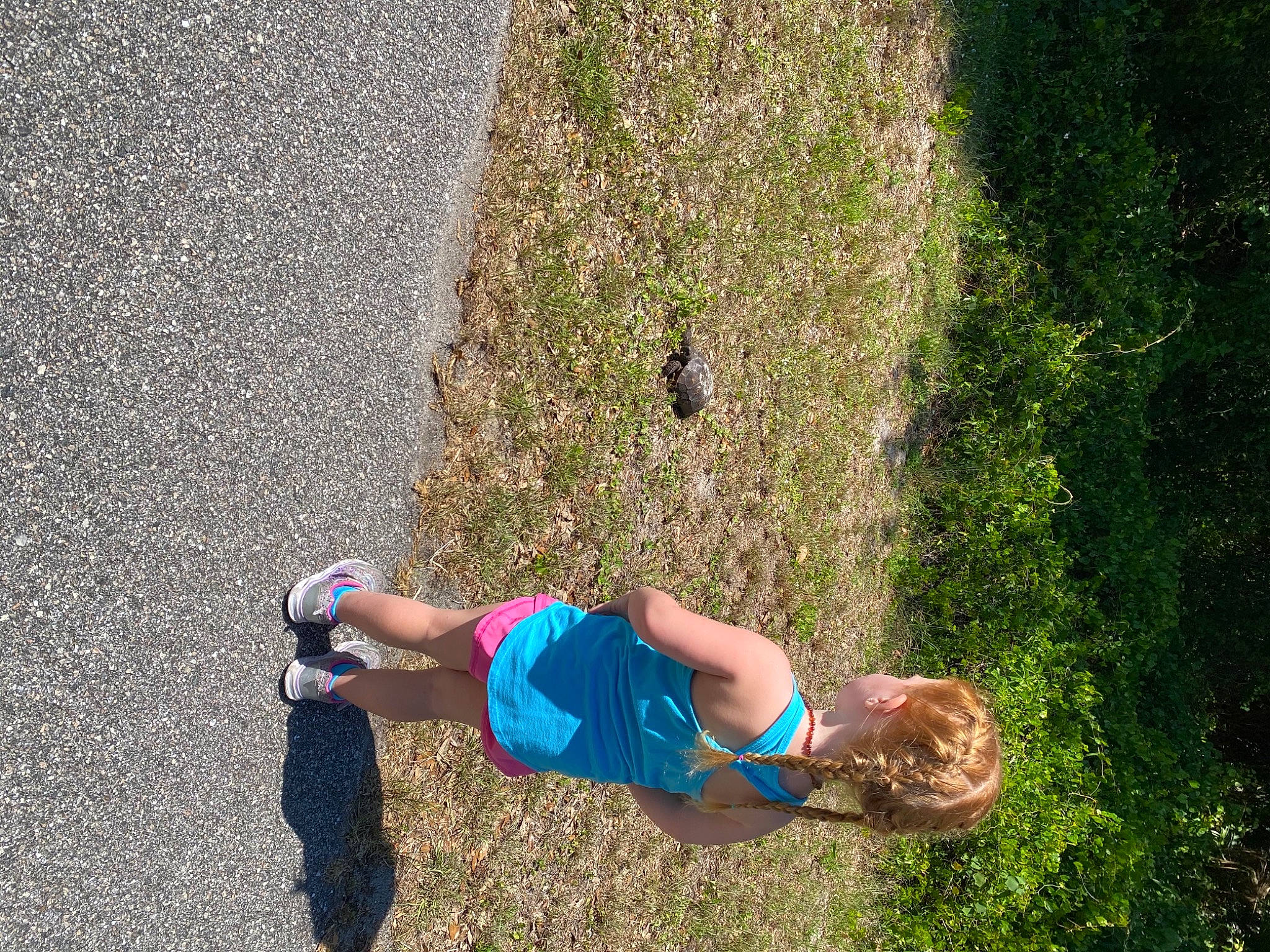 Macayla is registered to the contest to win money with this photo: asphalt, concrete, electric_blue, fun, grass, grass_family, human_leg, knee, landscape, leg, leisure, people_in_nature, person, plant, recreation, road_surface, shadow, sneakers, soil, tree