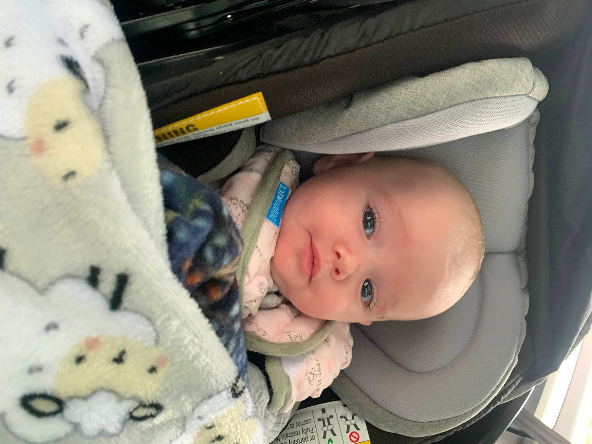 Journee joined the competition — help win amazing prizes! baby, baby_carriage, baby_products, baby_safety, baby_toddler_clothing, car_seat, cheek, child, comfort, eye, fur, head, linens, nose, pattern, person, room, smile, toddler, toy