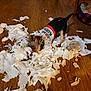 dog, small_dog, paper_towels, mess, wooden_floor, sweater, indoor, pet, playful, chewing, tearing, fur, brown, black, white, clothing, animal, floor, home, cute