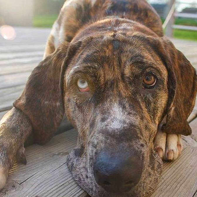 Opal joined the competition — help win amazing prizes!