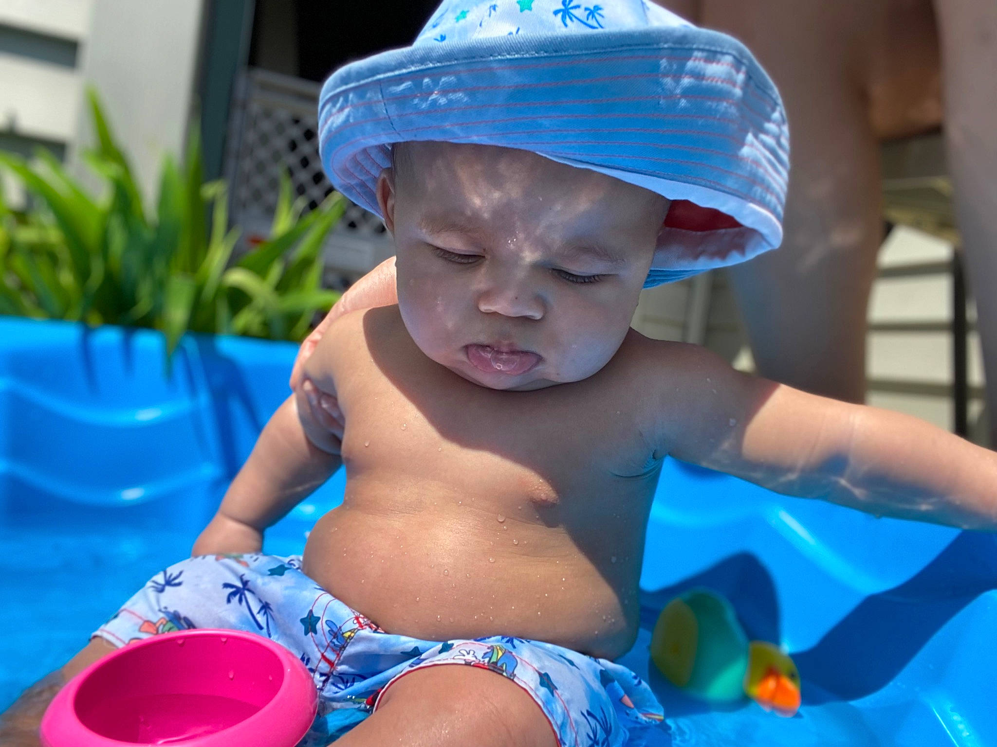 Kingstyn joined the competition — help win amazing prizes! aqua, azure, blue, cap, child, flowerpot, fun, happy, hat, headgear, houseplant, leisure, person, photograph, plant, product, recreation, red, summer, toddler