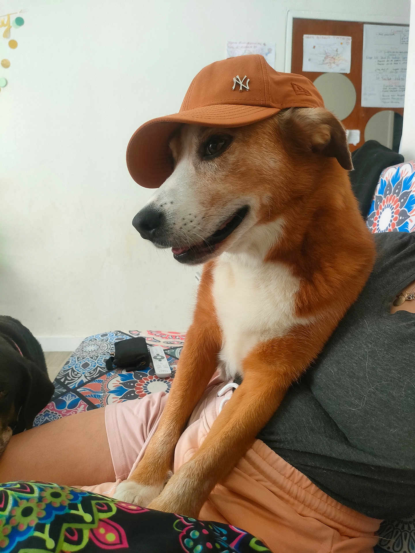 Malo