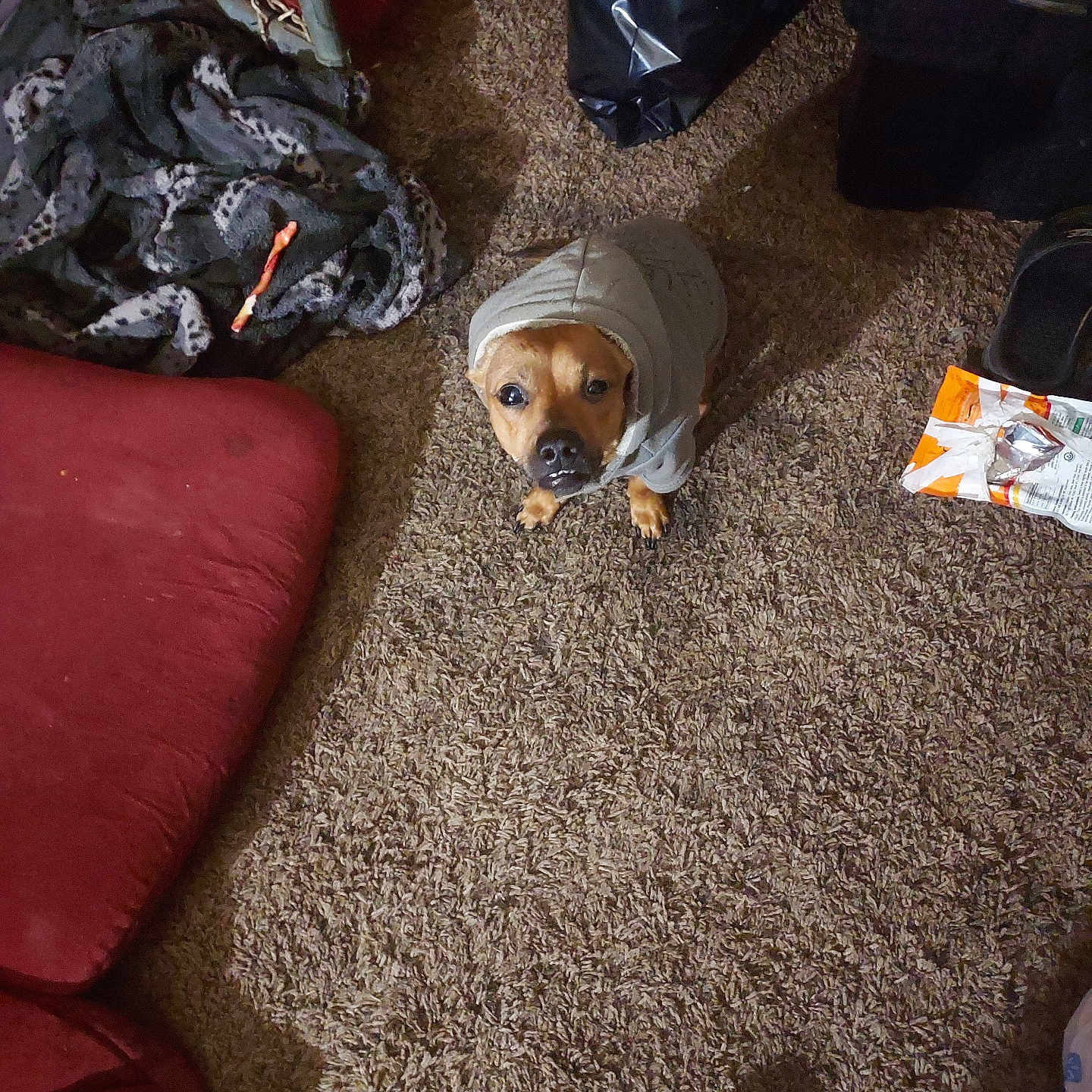 Puppup