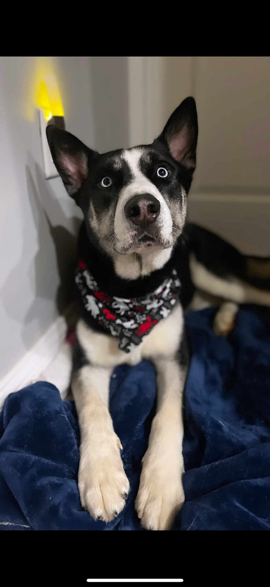 Deuce