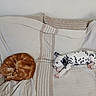 Buzz participe au concours pour gagner de l'argent avec cette photo : bed, bedding, bedroom, blanket, cat, companionship, dalmatian, dog, indoors, kitten, orange_cat, pillow, puppy, resting, sleeping, sleepy, spotted, striped, tabby, white_dog