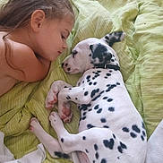 Buzz a rejoint le concours — aidez-le/la à gagner de superbes lots ! affection, animal, bed, bedding, child, close_up, cuddling, dalmatian, dog, girl, green_blanket, indoors, lying_down, person, pet, portrait, puppy, sleeping, spotted_dog, tender