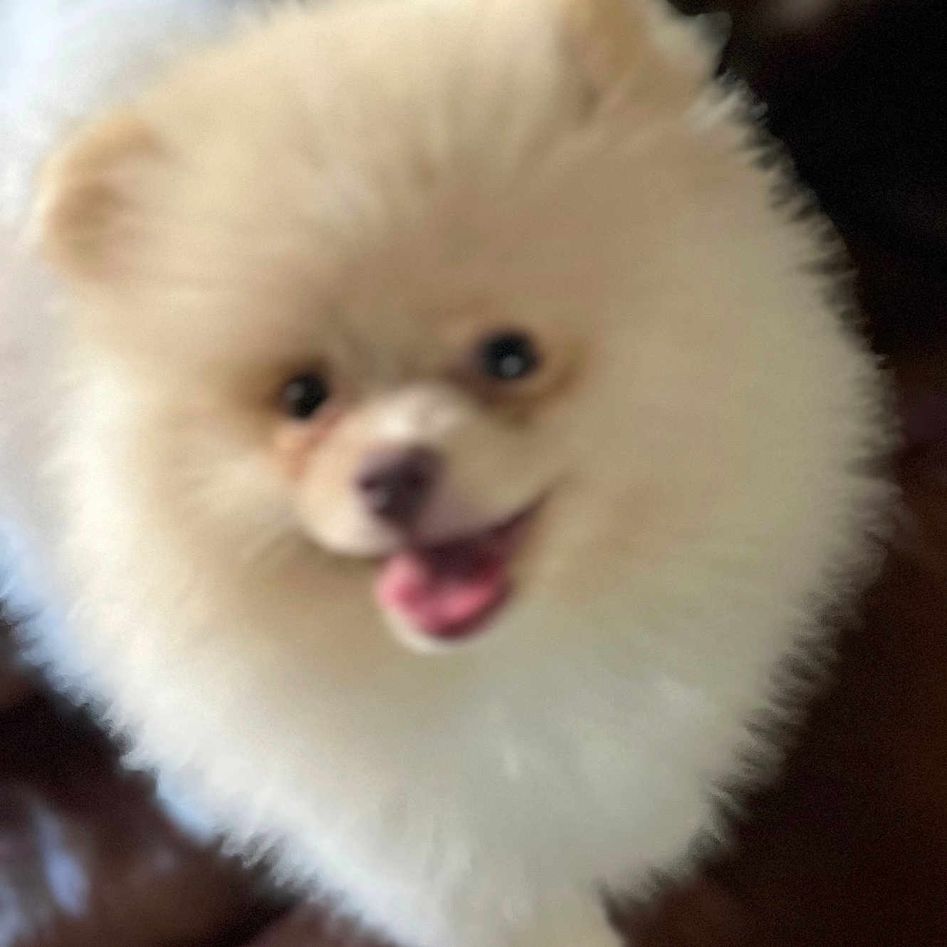 Theo