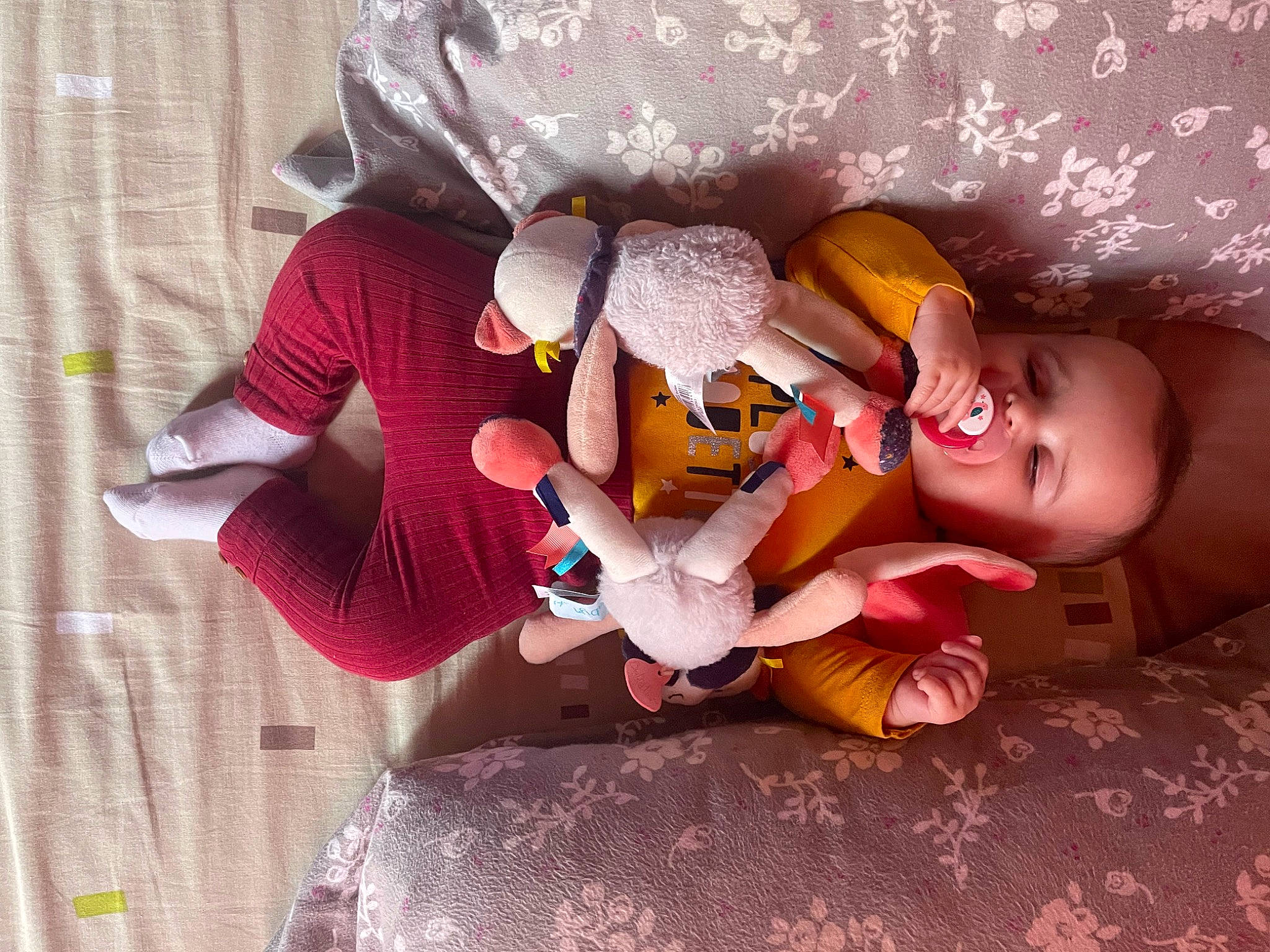 Leya participe au concours pour gagner de l'argent avec cette photo : baby_products, child, costume, doll, fictional_character, fun, hand, happy, human_body, human_leg, lap, leg, magenta, person, pink, purple, smile, stuffed_toy, thigh, toddler