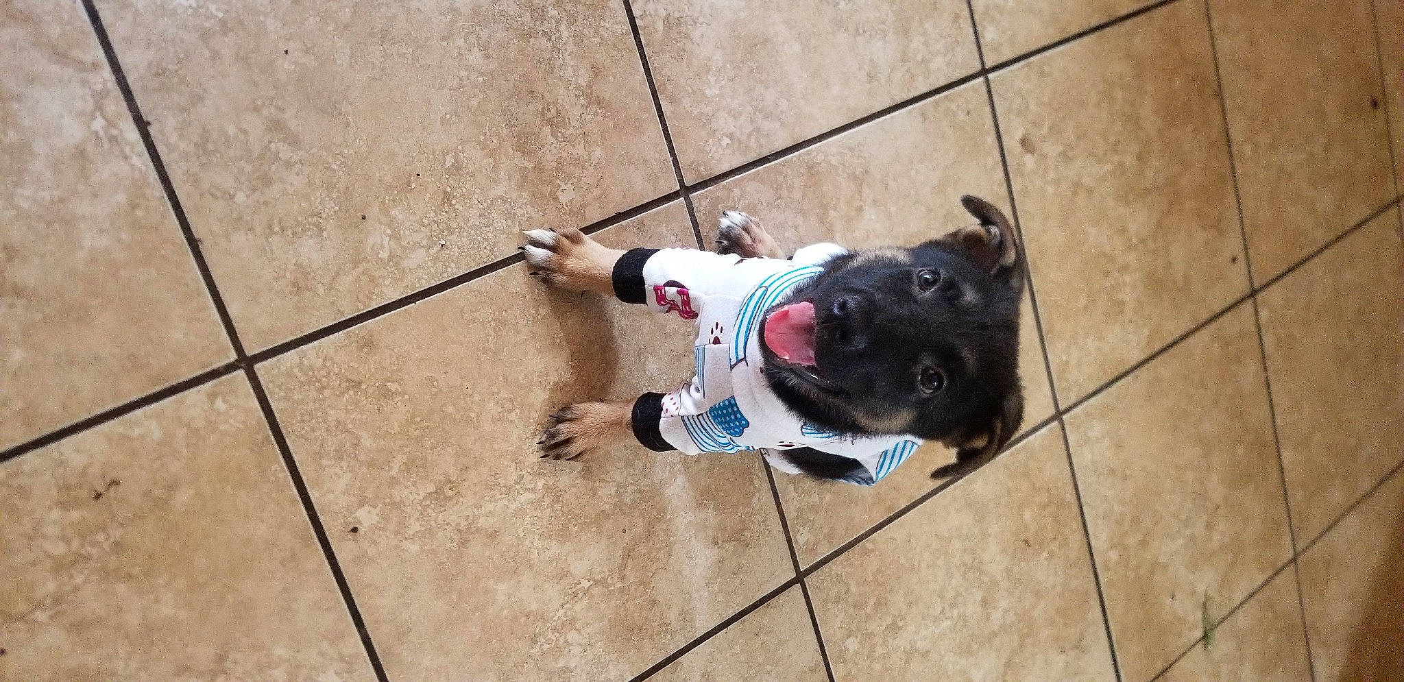 Sirius Ageas Wheeler