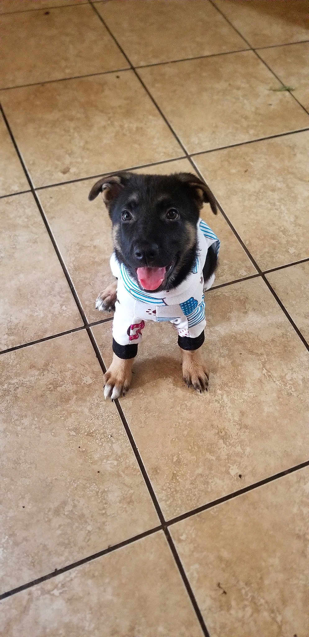 Sirius Ageas Wheeler