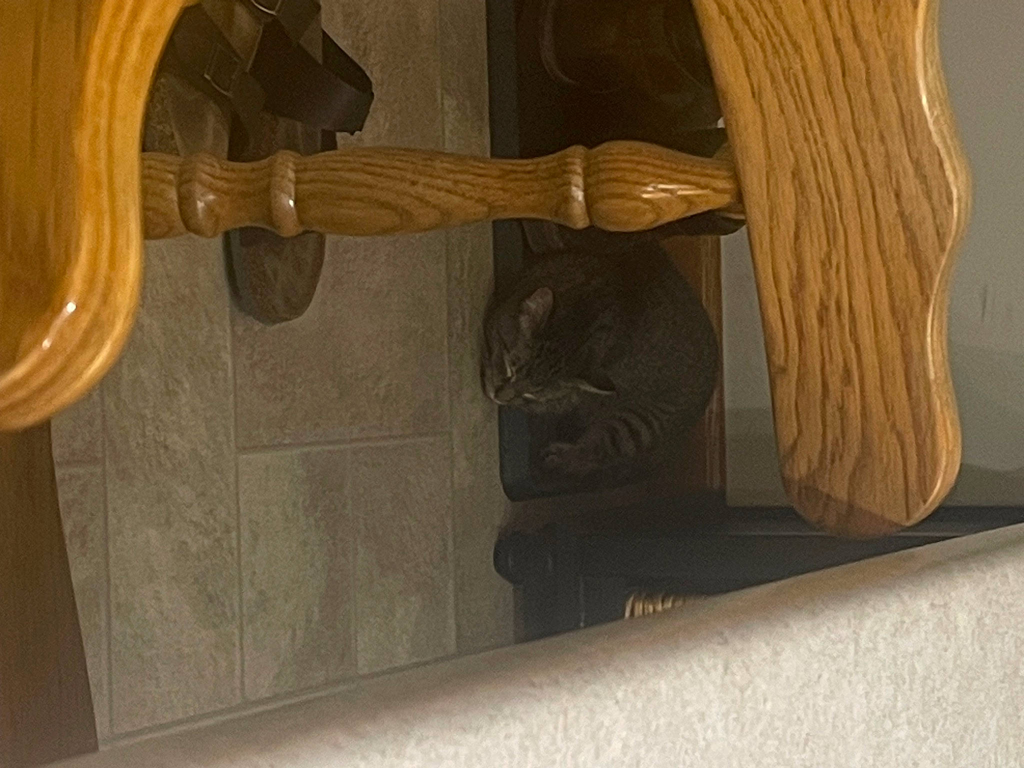 Appa is registered to the contest to win money with this photo: art, artifact, carving, composite_material, door, door_handle, flooring, hardwood, metal, molding, natural_material, pedestal, plywood, room, sculpture, statue, varnish, visual_arts, wood, wood_stain